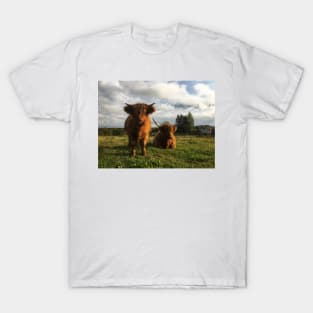 Scottish Highland Cattle Cow and Calf 2120 T-Shirt